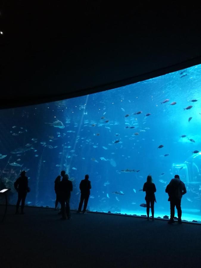 Las Canteras Aquarium Las Palmas de Gran Canaria Esterno foto