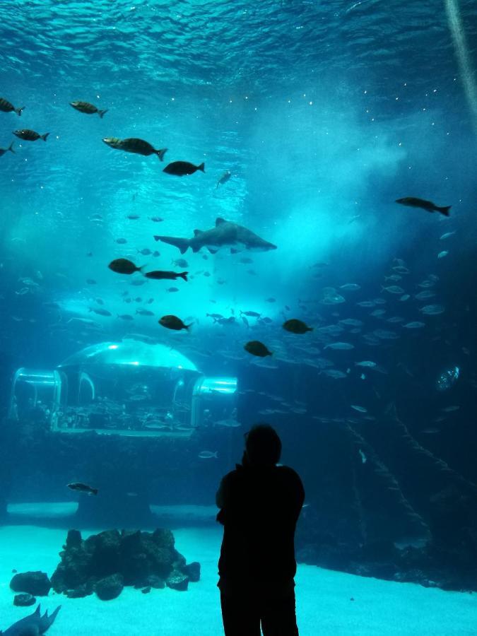 Las Canteras Aquarium Las Palmas de Gran Canaria Esterno foto