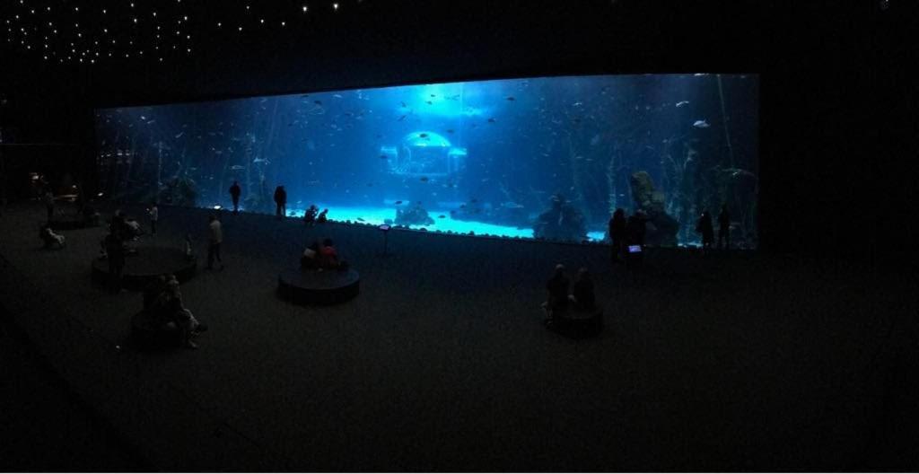Las Canteras Aquarium Las Palmas de Gran Canaria Esterno foto